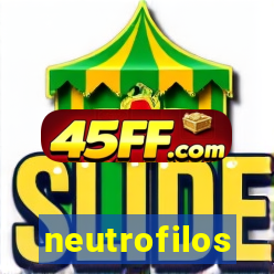 neutrofilos bastonetes e segmentados altos na gravidez